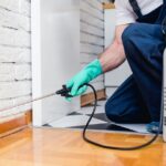 Essential Tips for Keeping Pests Out of Your House