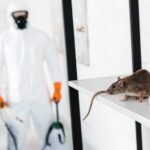 Is the Employment of Mice Control Worthy?