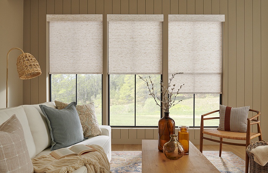 Roman Shades for Windows